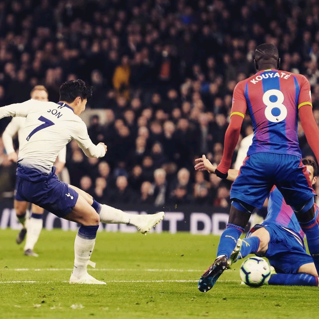 能的俱乐部 能的俱乐部